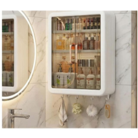 Home anti aging skin toner